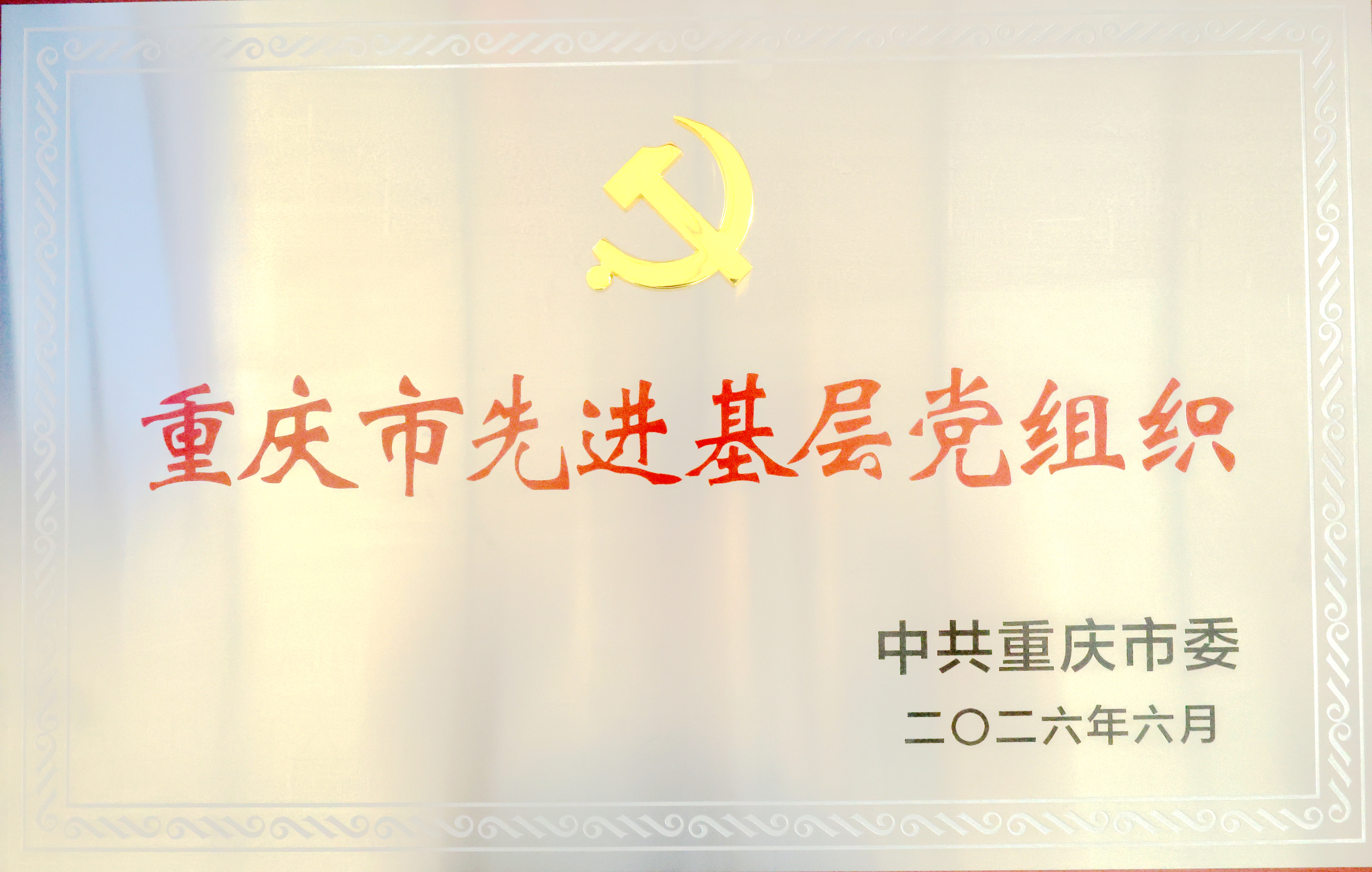 3.重庆市先进基层党组织.jpg